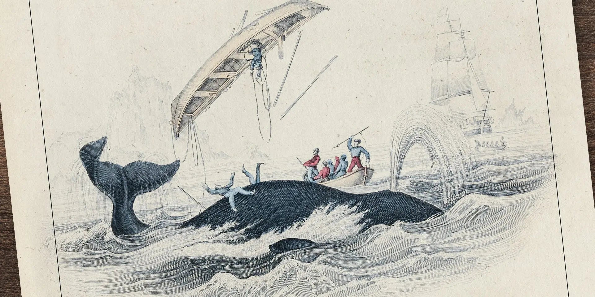 On Scientific Inaccuracies and the History of Science Cognitive Surplus