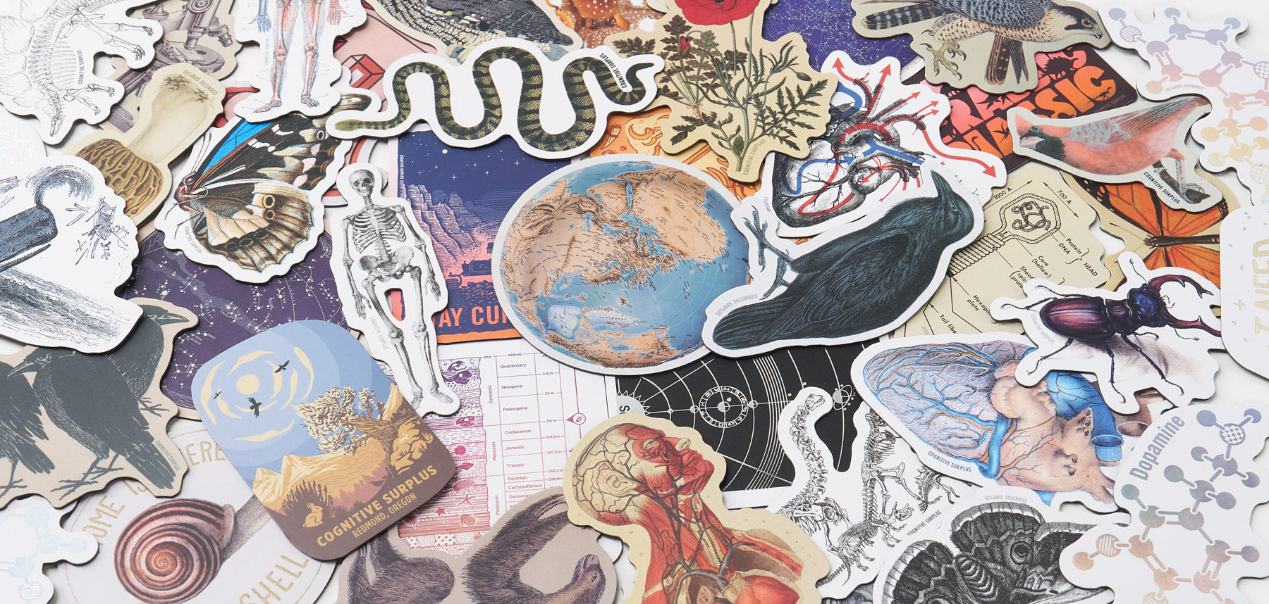 A collage of various science-themed stickers, including images of a snake, the Earth, a whale, an anatomical heart, and skeletal diagrams.