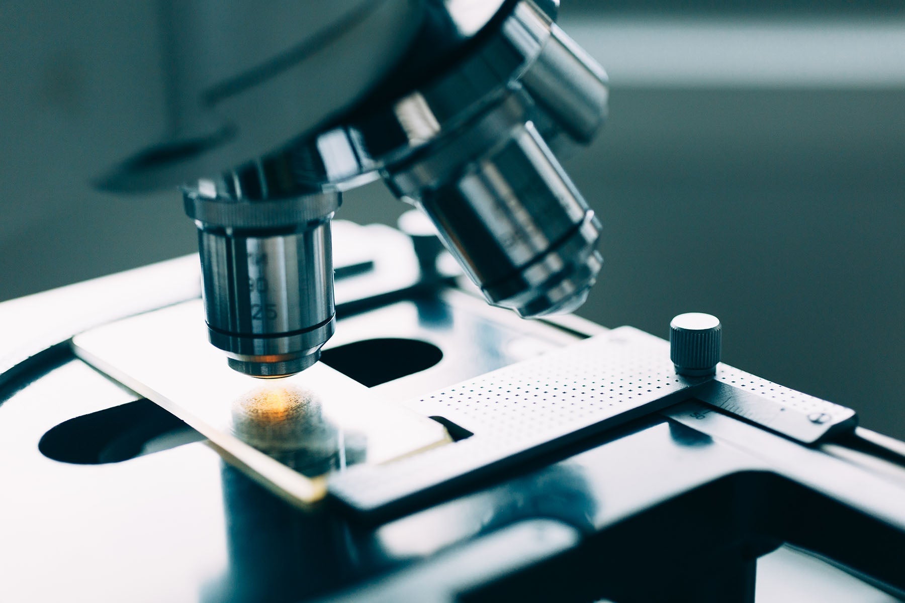 Microbiology Cognitive Surplus