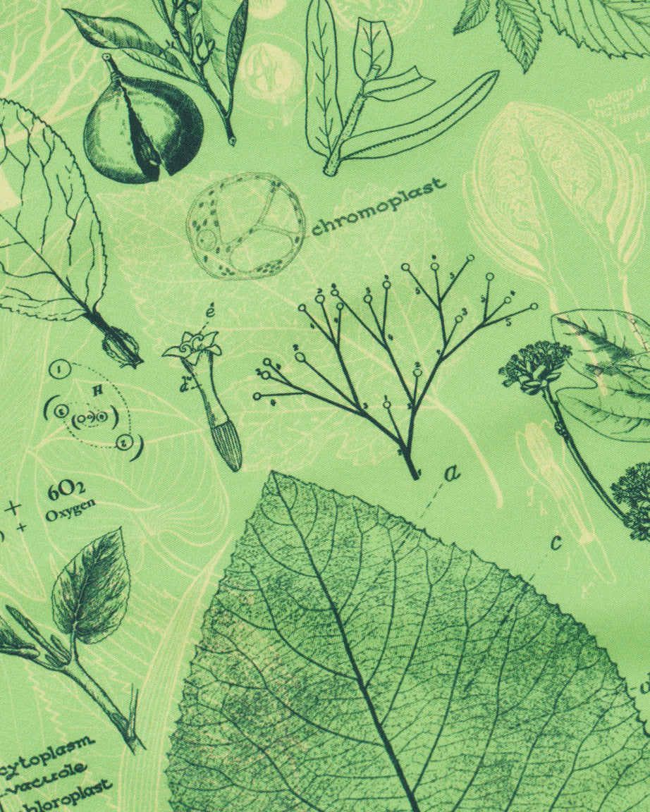 BnBotany_2.jpg