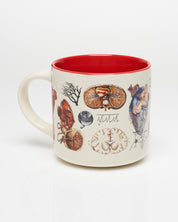 Vascular Anatomy 15 oz Ceramic Mug