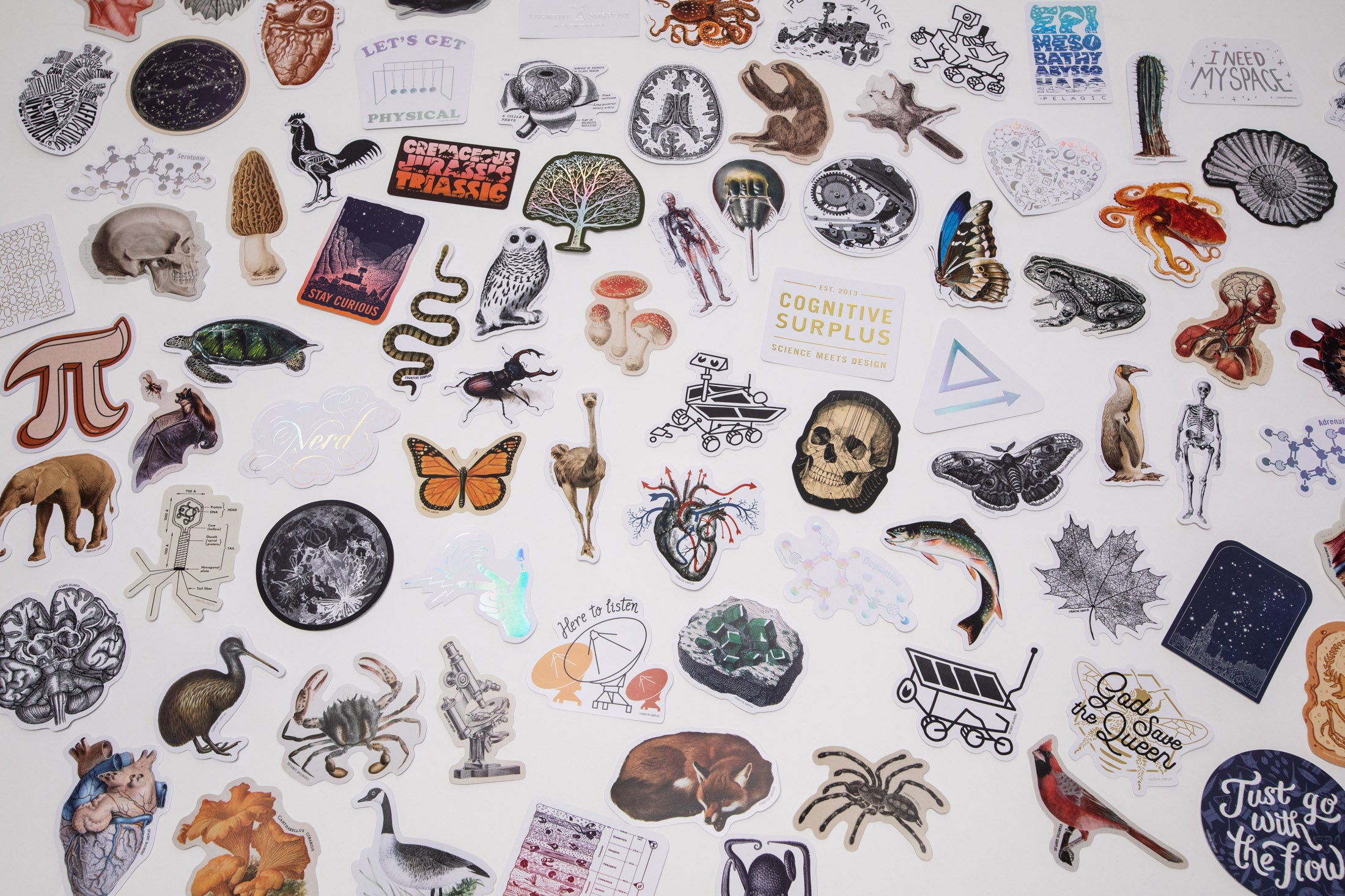 CollageSticker_1_4040a77c-3fe7-4f56-bd9e-92c16e9854a4.jpg
