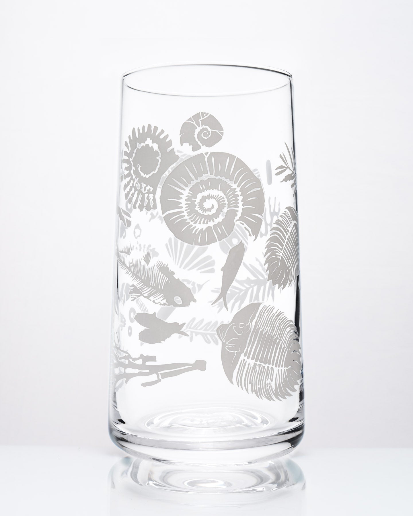 DkFossil_3.jpg