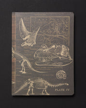 Dinosaurs Dark Matter Notebook