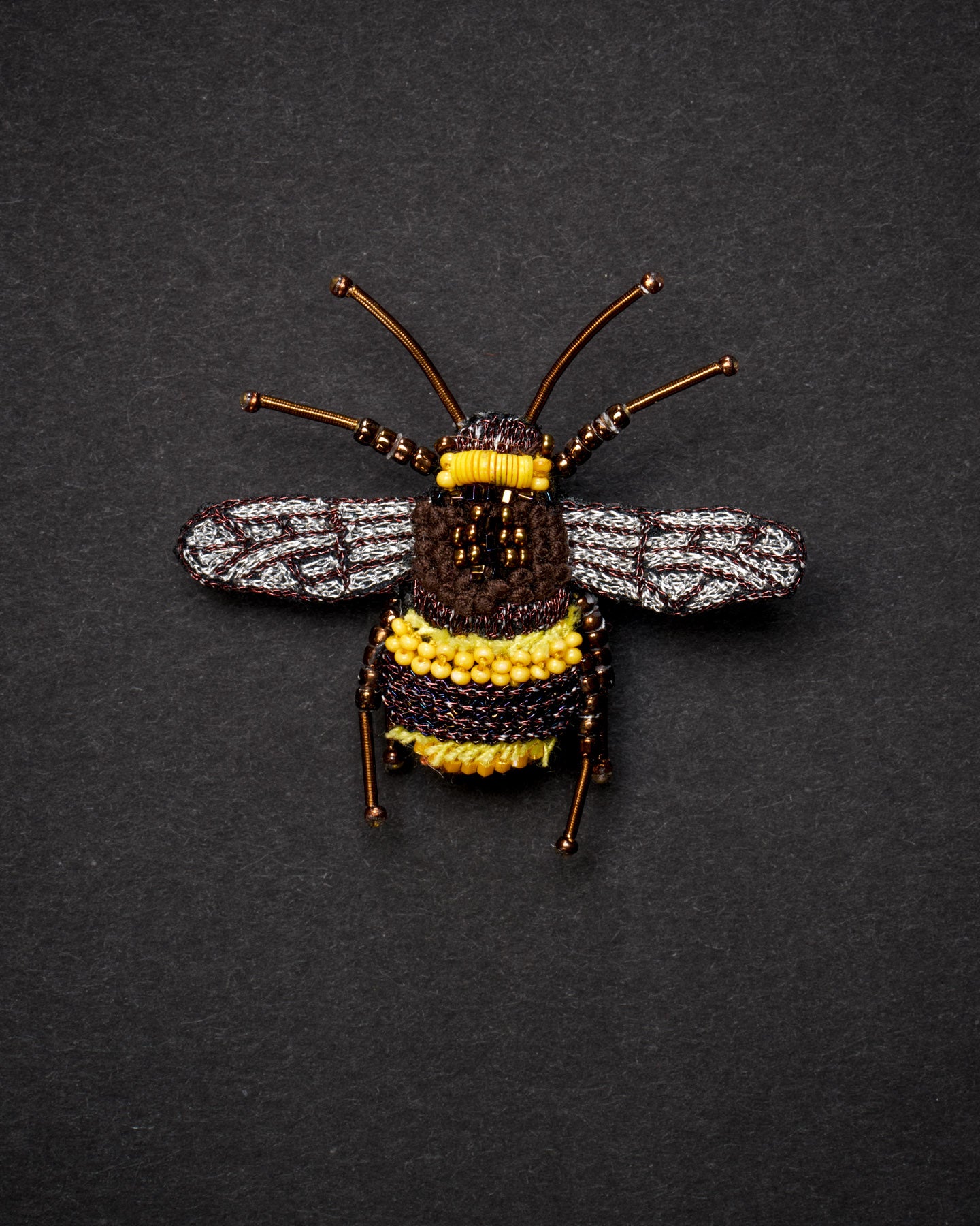 EXT-TL-B-419_Large_Earth_Bumblebee_1.jpg