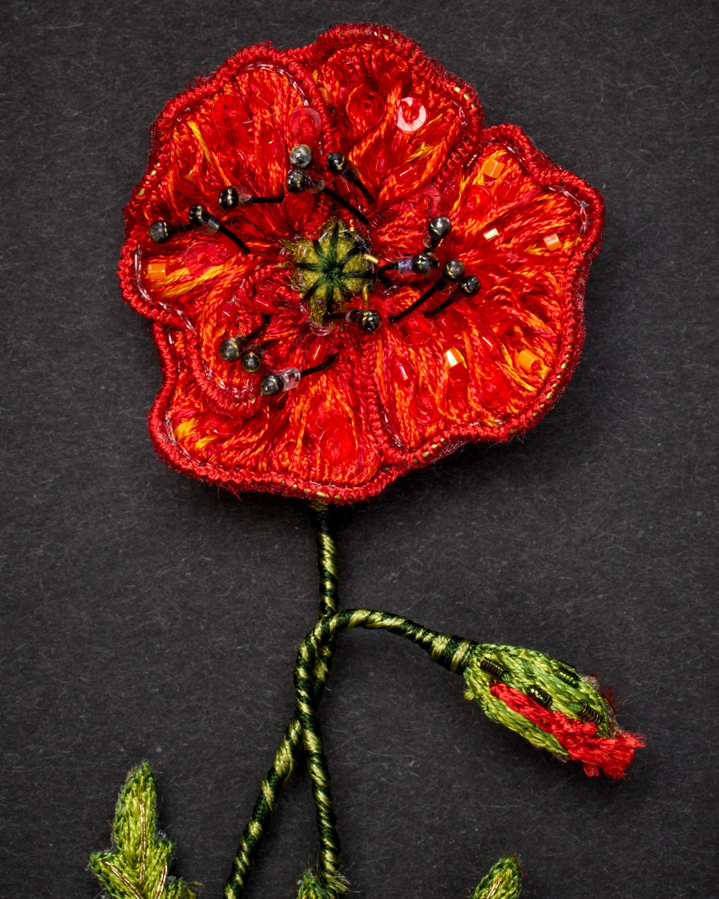 EXT-TL-B-898_Field_Poppy_2.jpg