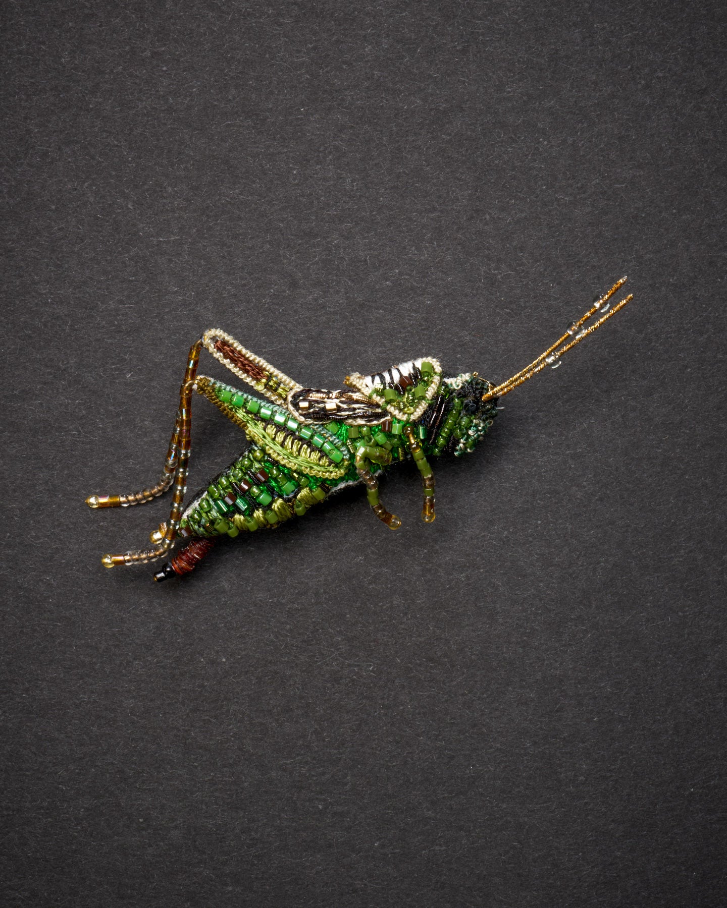 Striped Grasshopper Brooch Pin - Trovelore
