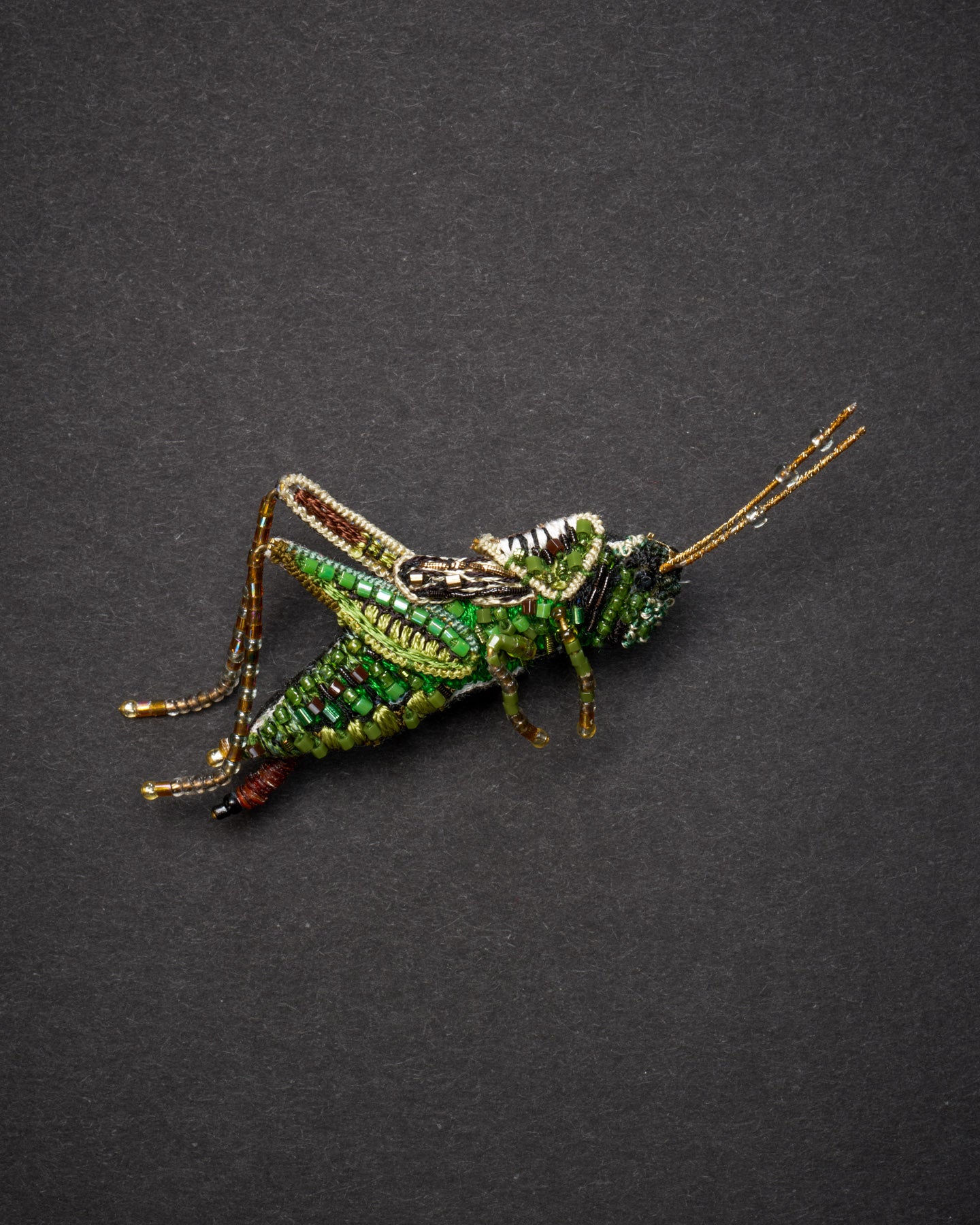 EXT-TL-B-904_Striped_Grasshopper_1_2.jpg