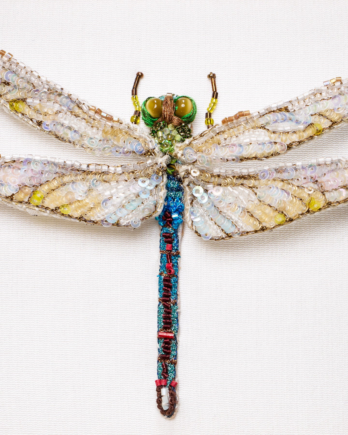 EXT-TL-BA-22N_Green_Darner_Dragonfly_2.jpg