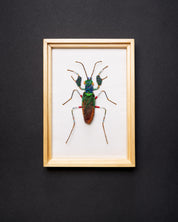 Iridescent Bark Mantis Beaded Framed Art - Trovelore