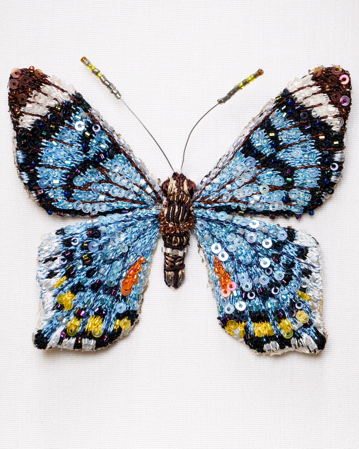 EXT-TL-BA-49N_Swallowtail_Butterfly_2.jpg