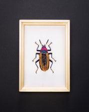 Darkling Beetle Beaded Framed Art - Trovelore