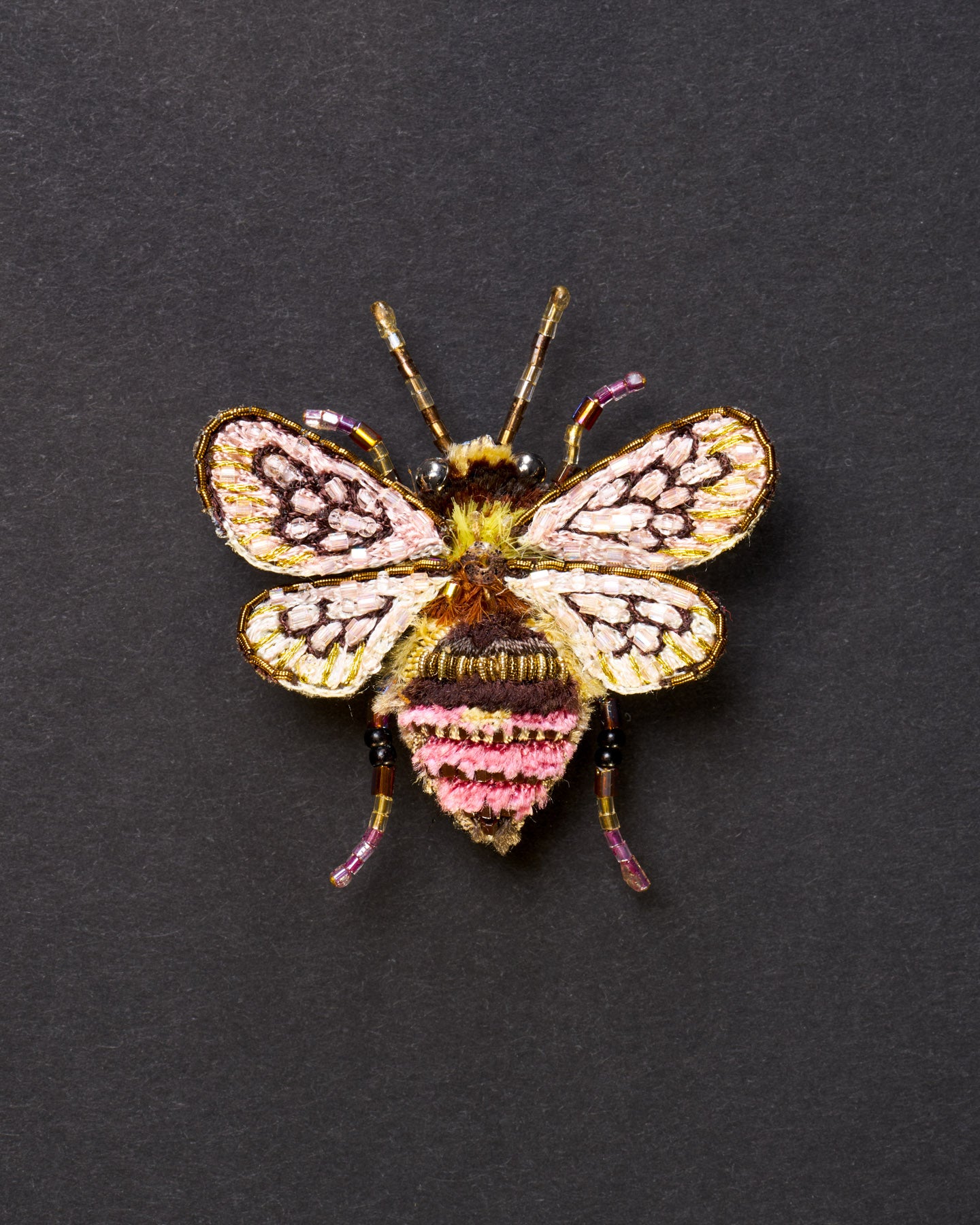 EXT_TL_B_860_BombusBee_1.jpg