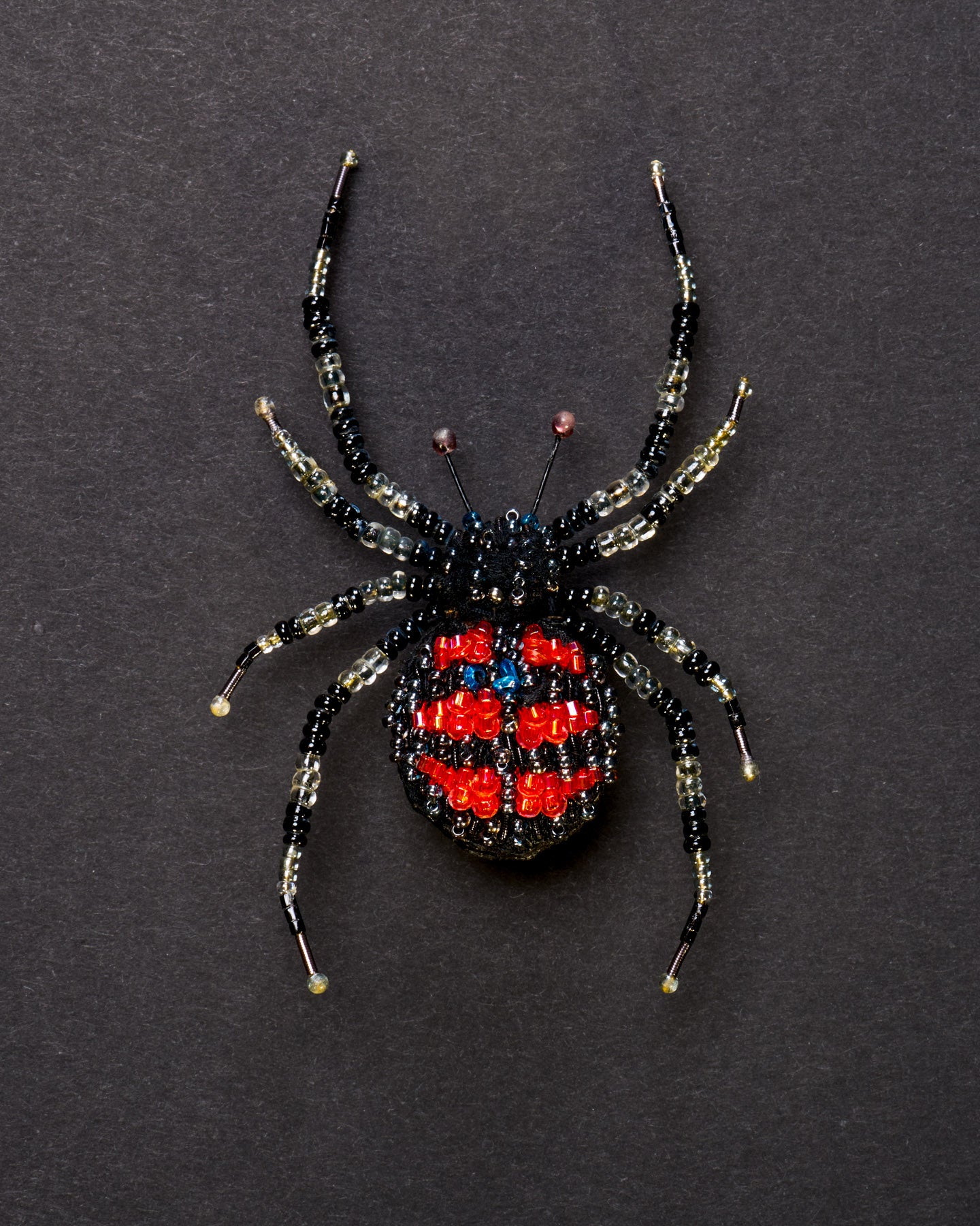 EXT_TL_B_908_RedbackSpid_1.jpg