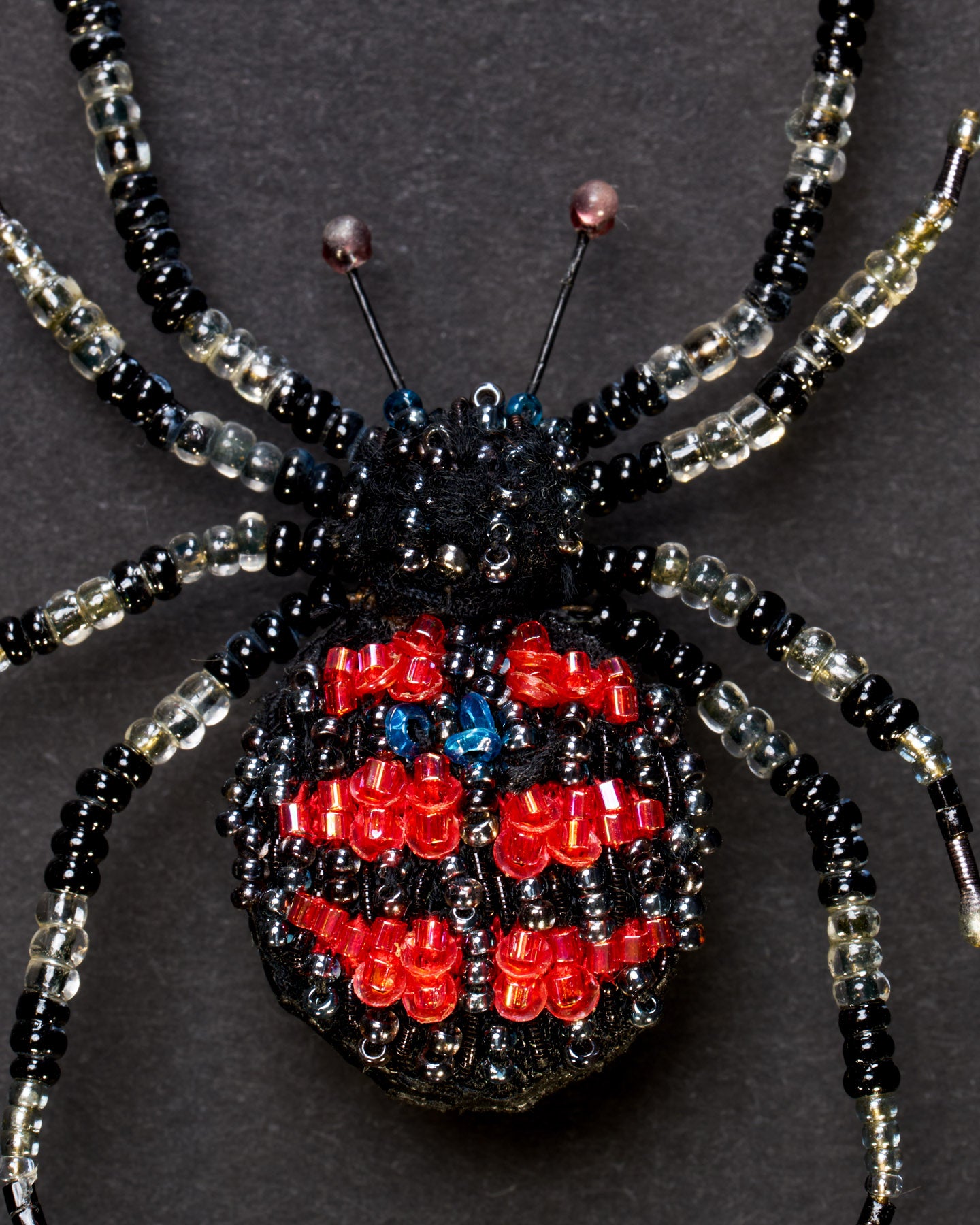 EXT_TL_B_908_RedbackSpid_2.jpg