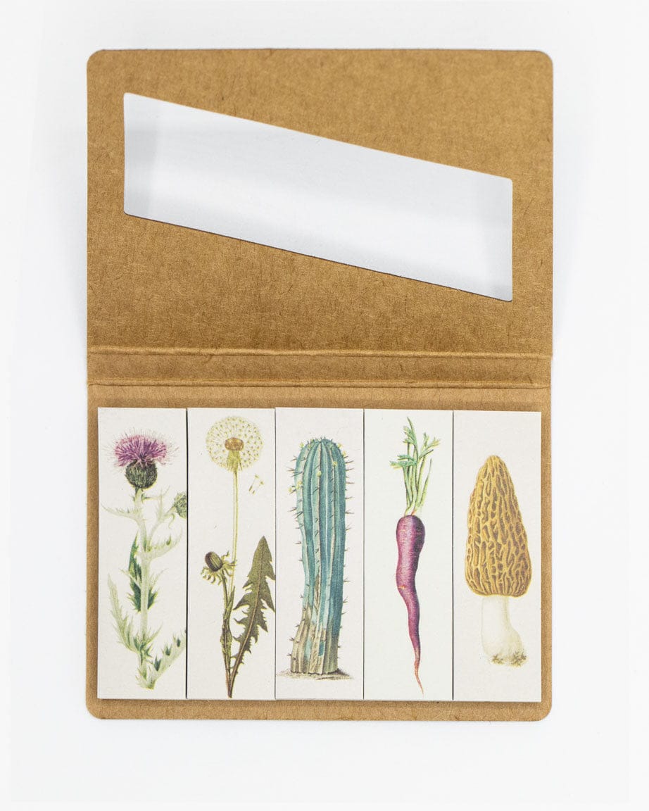 Flora-Page-Flags-Cognitive-Surplus-558.jpg
