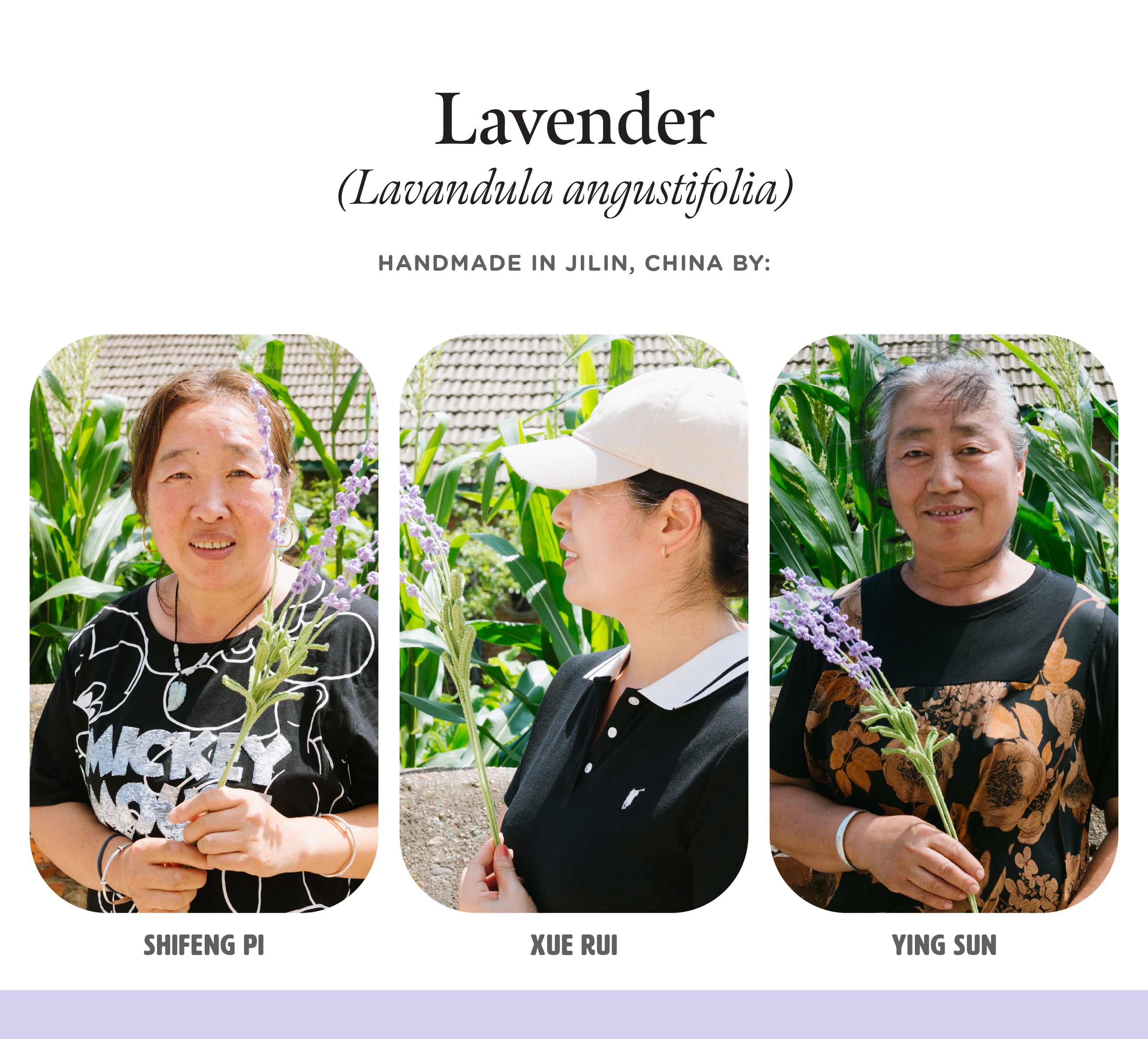 FlowersWebsiteImages_v2-13.jpg