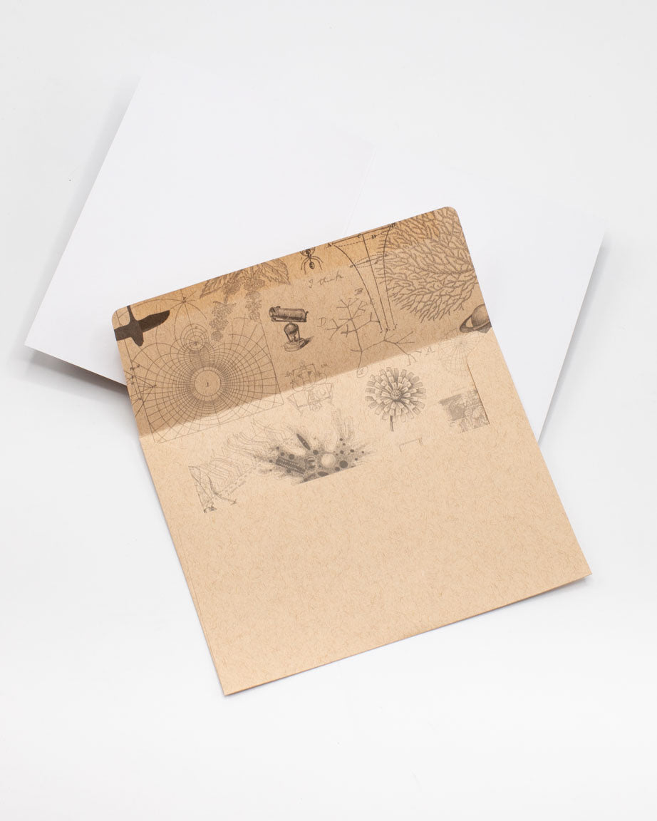 Gc_Envelope_1e6c47dd-67a7-45bc-817f-f36a3628625e.jpg