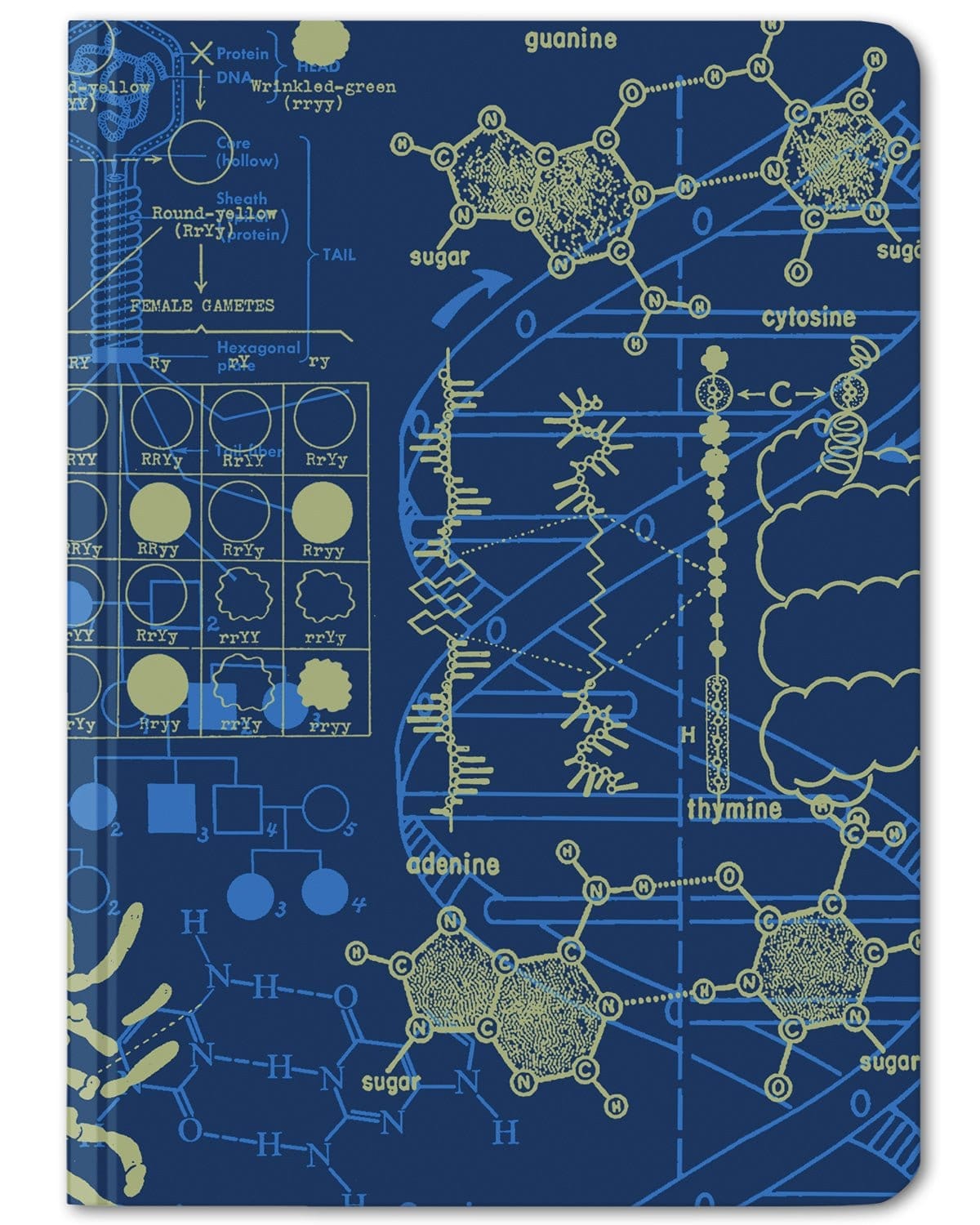 Genetics Mini Hardcover - Dot Grid Cognitive Surplus