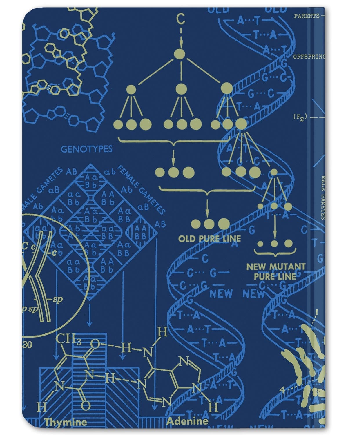 Genetics Mini Hardcover - Dot Grid Cognitive Surplus