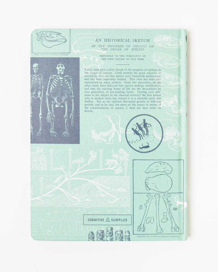 Human Evolution Hardcover Notebook - Lined / Grid