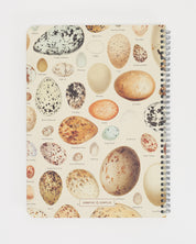 Bird Eggs Spiral Notebook - Lined