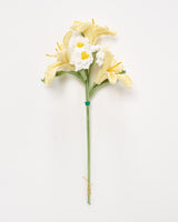 Inca Sunbeam Crochet Flower Bouquet