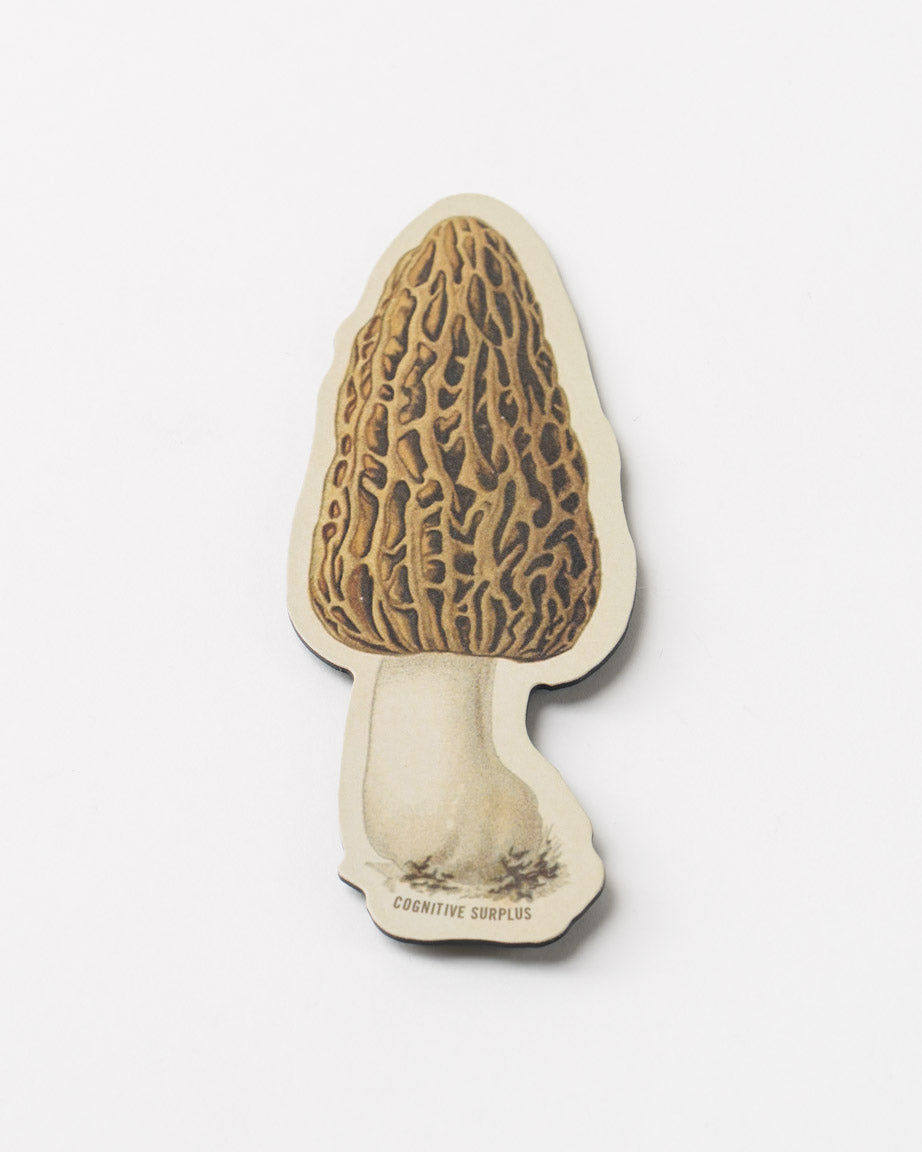 Morel Mushroom Magnet