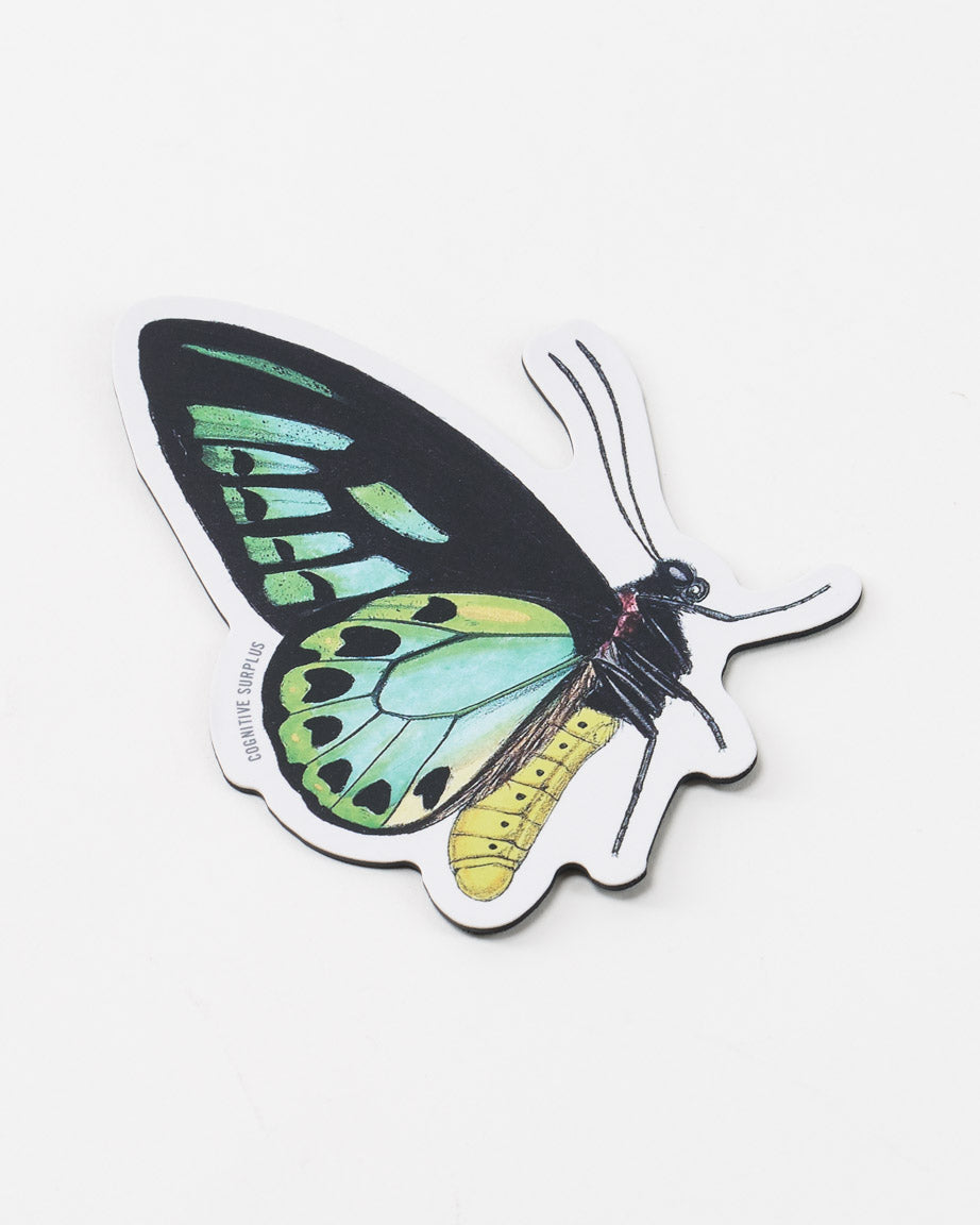 Papilio Butterfly Magnet