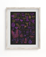 Neon Fungi Scientific Illustration Museum Print
