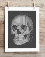 A black and white drawing of a skull hanging on a clothesline.