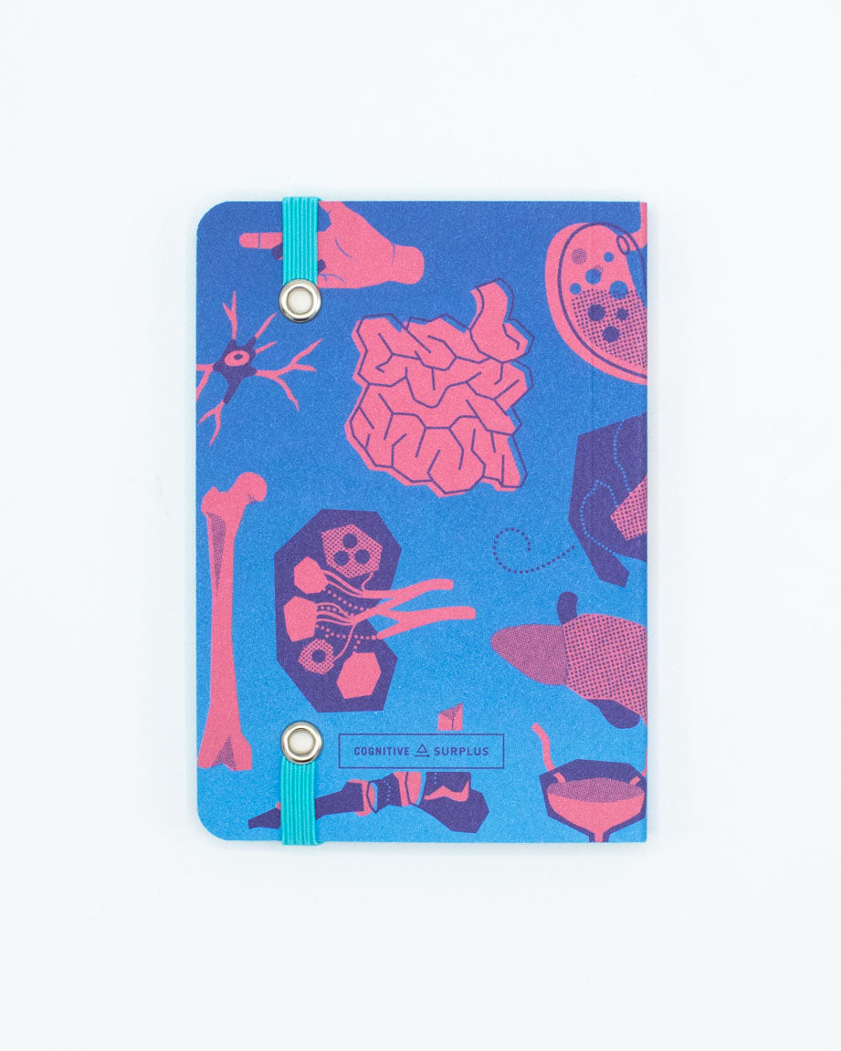 Retro Anatomy Observation Softcover