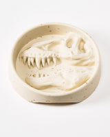 Dinosaur Dog Bowl