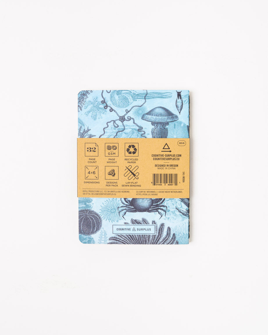 Ocean Pocket Notebook 4-pack