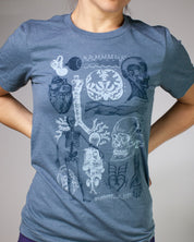 Mystery Adult Science Shirts!