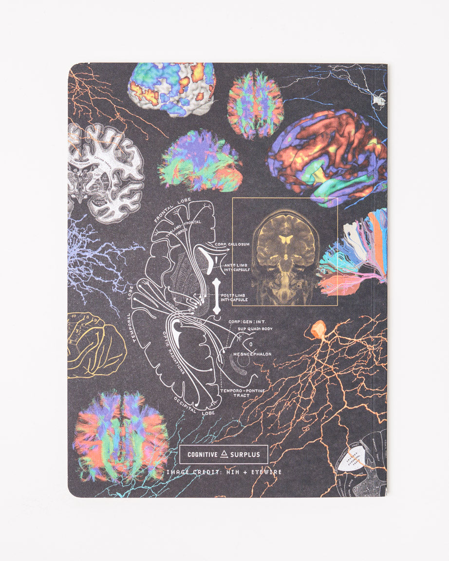 ScModBrain_2.jpg