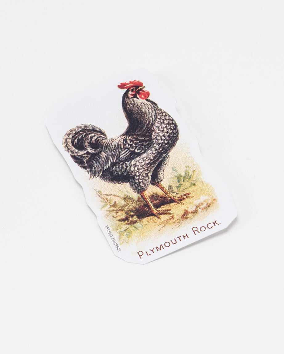 Chicken Sticker