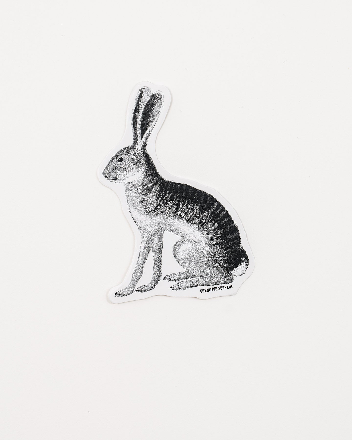 Jackrabbit Sticker (Lepus californicus)