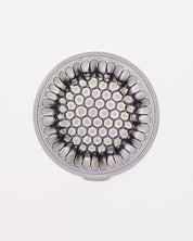 Microfossil Diatom Frustule (Stephanopyxis grunowii)