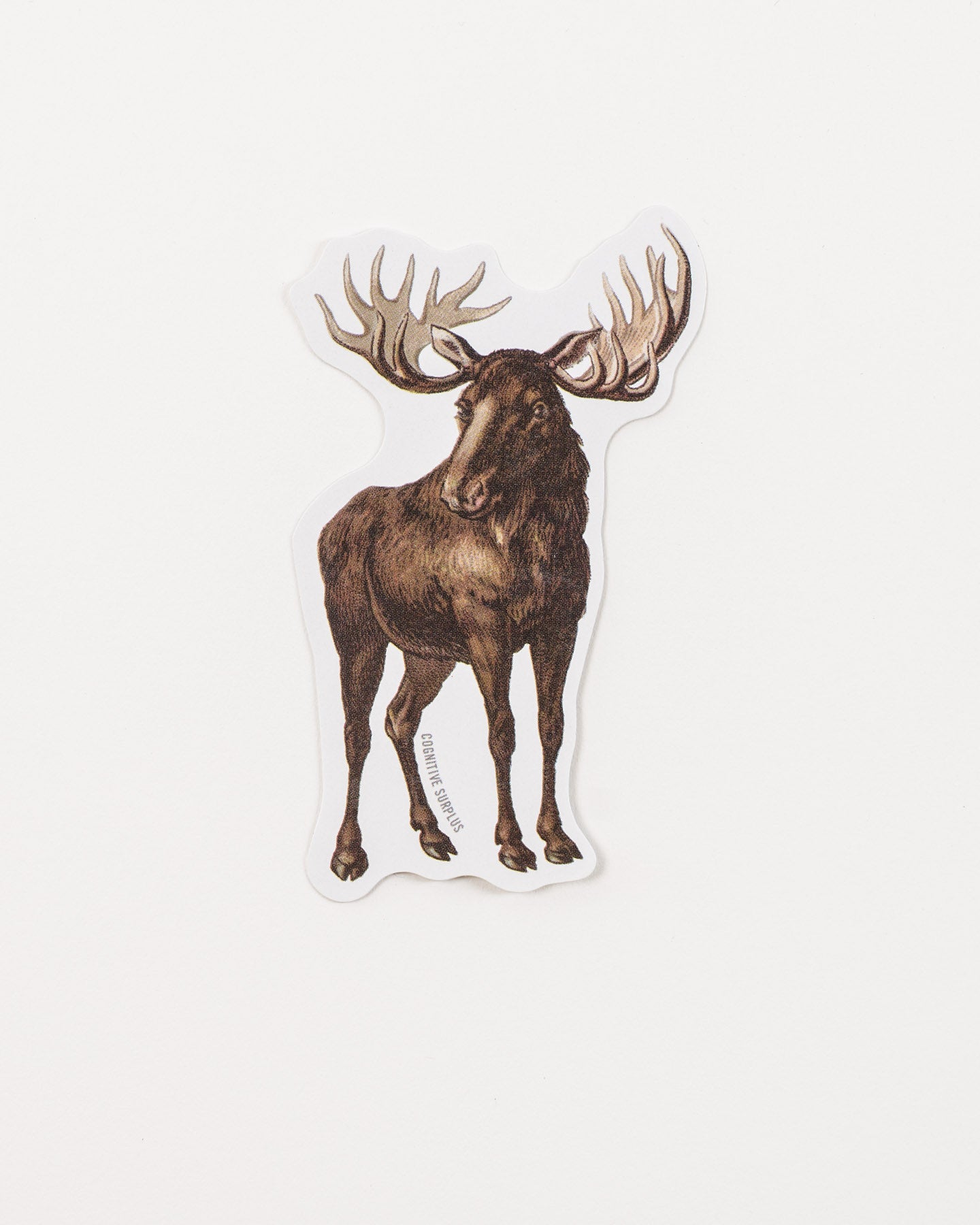 StMoose_1.jpg