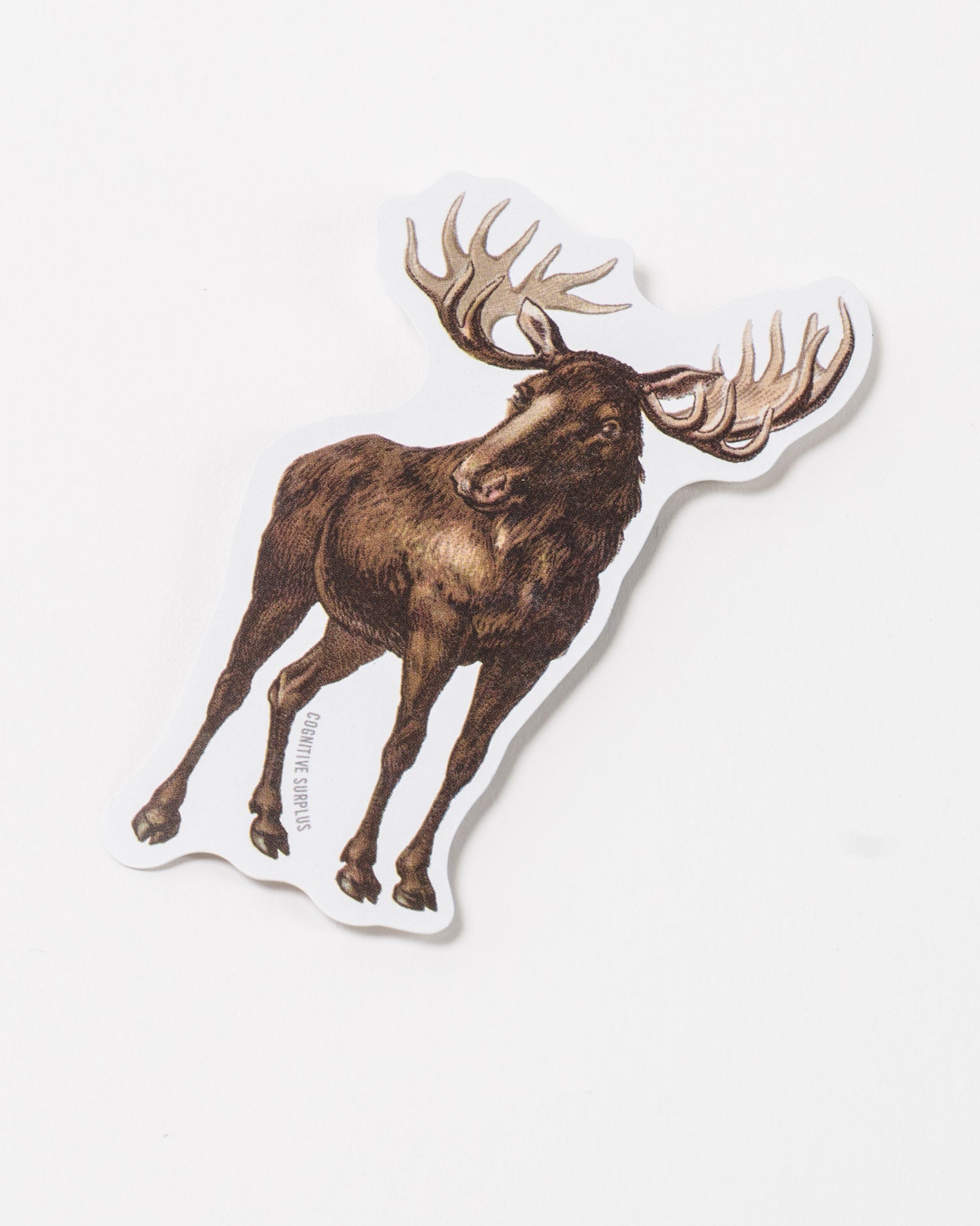 StMoose_2.jpg