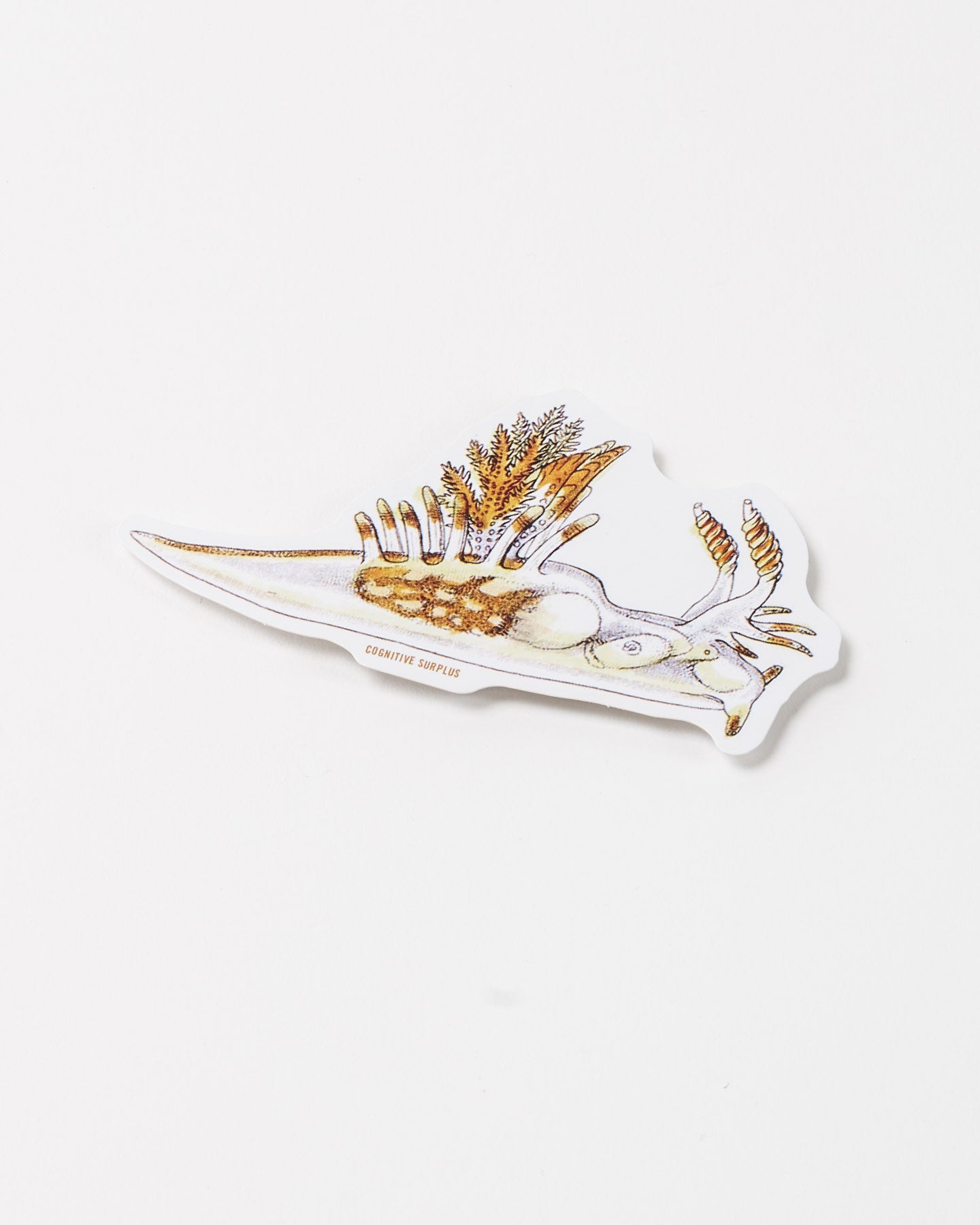 Dorid Nudibranch Sticker (Ancula gibbosa)