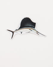 Atlantic Sailfish Sticker (Istiophorus albicans)
