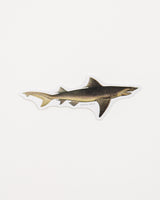 Sand Tiger Shark Sticker (Carcharias taurus)