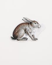 Snowshoe Hare Sticker (Lepus americanus)