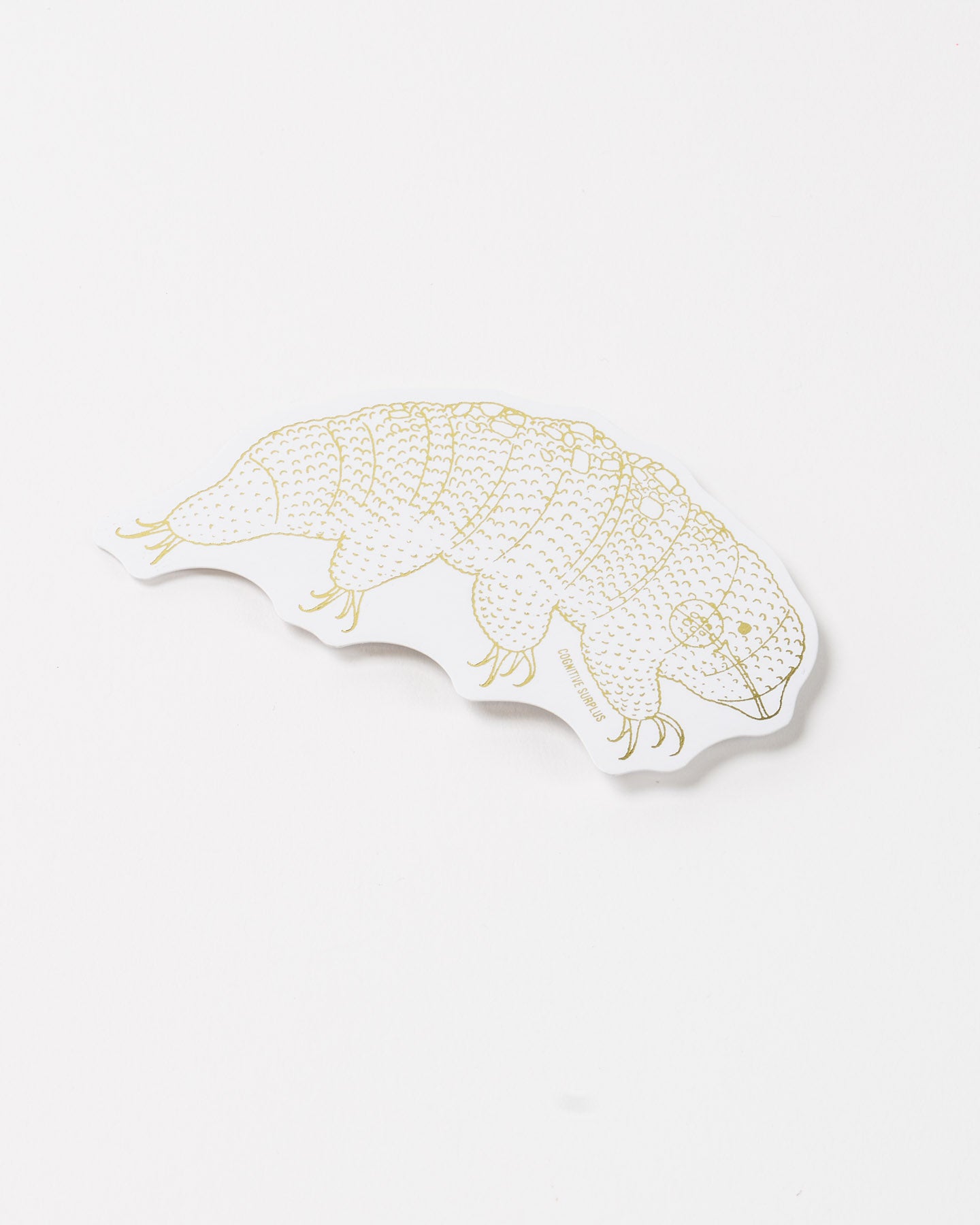 Tardigrade Sticker (Milnesium tardigradum)