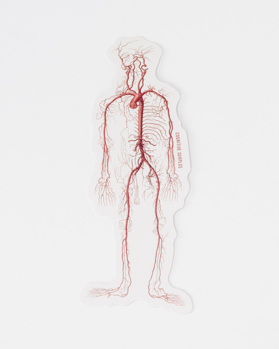 StVeins_02.jpg