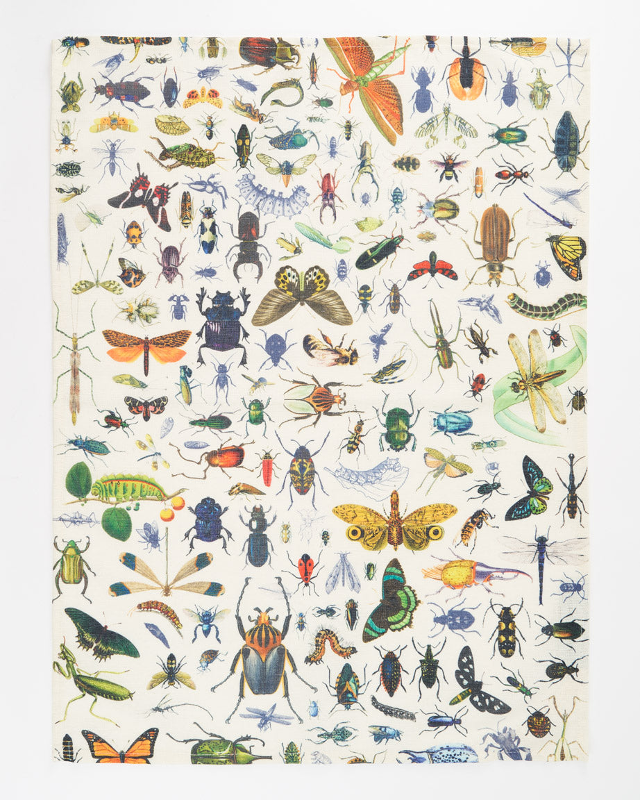 TtInsect_1_f2b9f3b1-4c93-48a1-b401-dbff638d8392.jpg