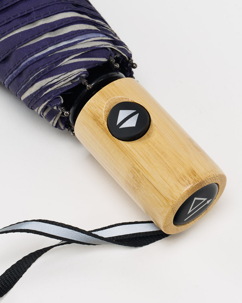 Astronomy Umbrella