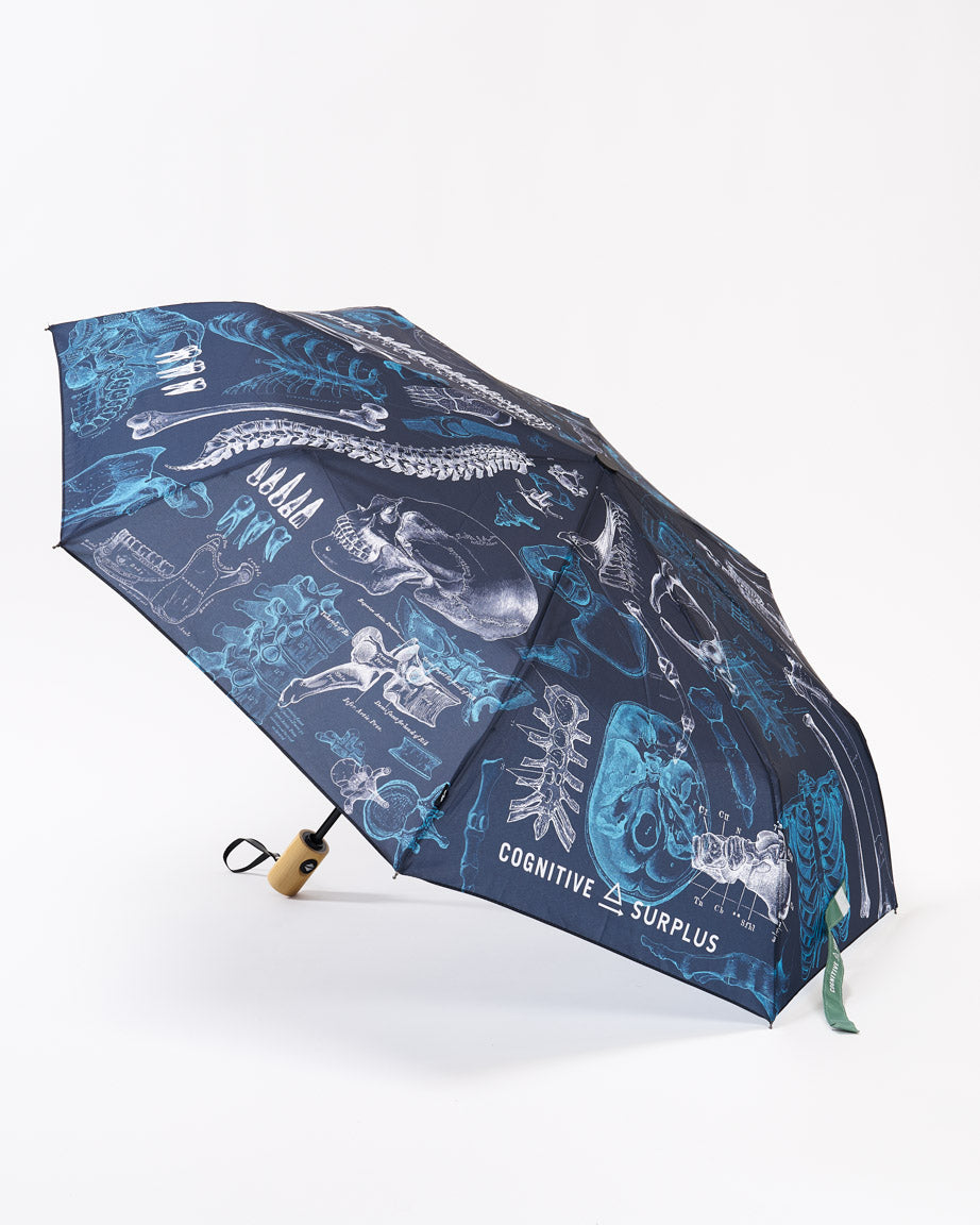 Skeleton Umbrella